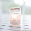 Sample pack - 7 glass jars (without lids)
